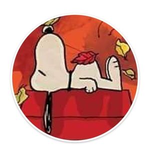 Meet your Posher, Gary